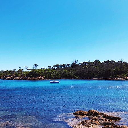 T2 Avec Terrasse & Parking A 5 Min Du Centre, 10 Min Des Plages Ιέρ Εξωτερικό φωτογραφία